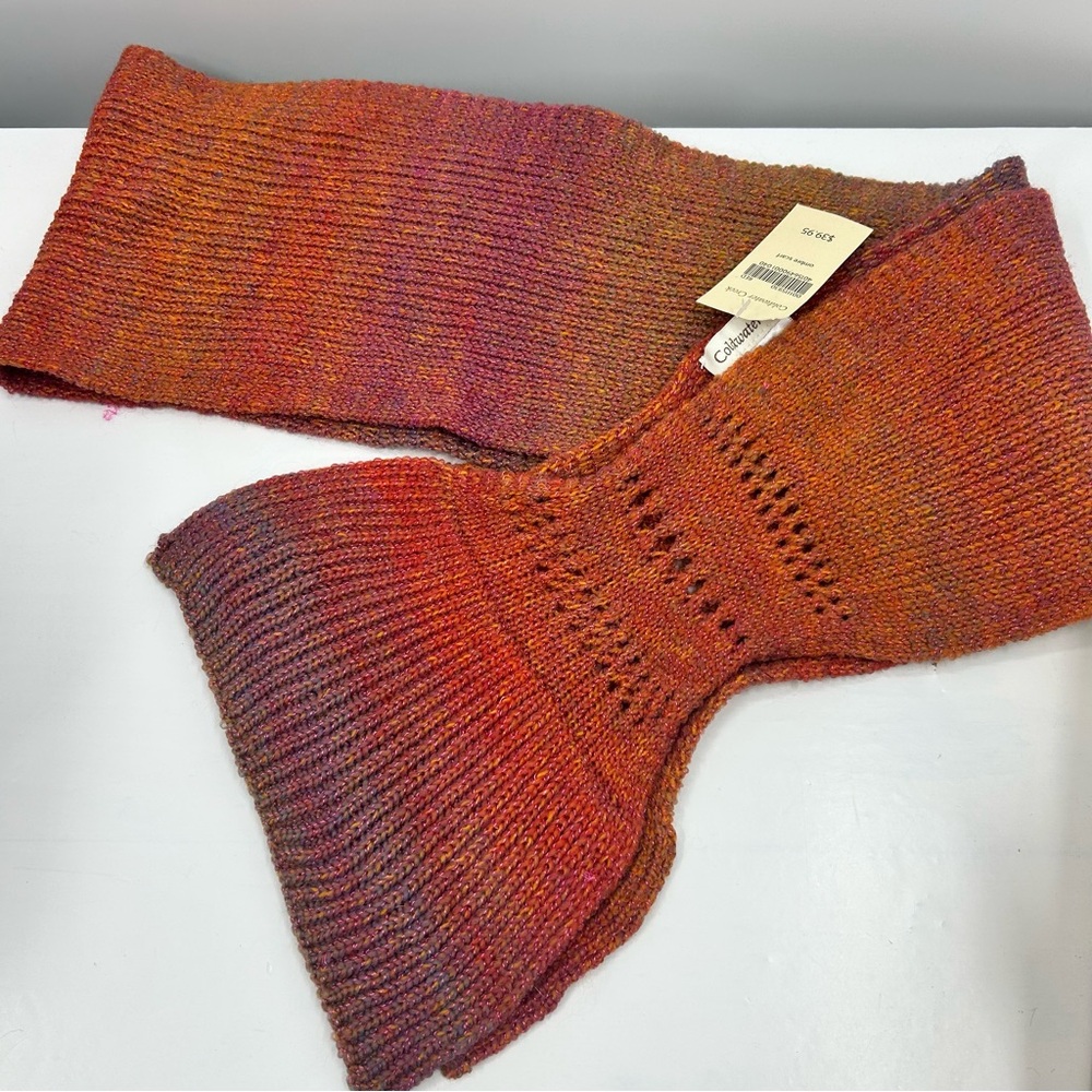 NWT Coldwater Creek Ombré Scarf